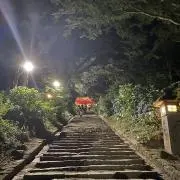 Dの画像
