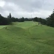 ヤハヤンの画像