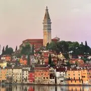 ニーノの画像