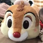 ひまわり