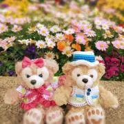 ゆず✧˖プロフご覧ください✧˖の画像