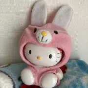 うさぴょんの画像