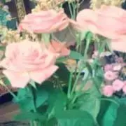 あいりの画像