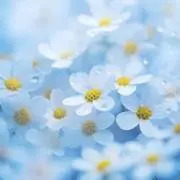 ひろ 値下げ交渉大歓迎‼️の画像