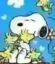 ハピナ.:*✽の画像