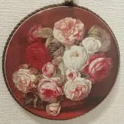 むーの画像