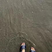 sanaの画像