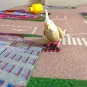 りん