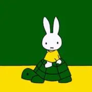 ゆぴの画像