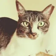 ぴぃちゃん✪プロフご確認下さいの画像