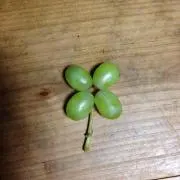 のりぶぅ☆