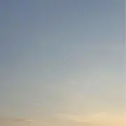 はなの画像