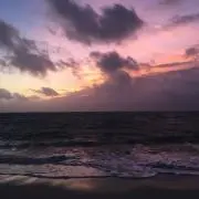 yuki0916の画像
