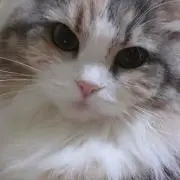 すてまる♥プロフ必読ください！の画像