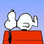 やんやん♡の画像