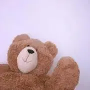 あるぱかの画像