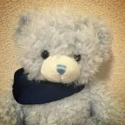 cocoの画像