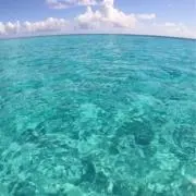 P.Hの画像