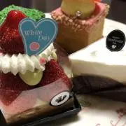 ミミーの画像