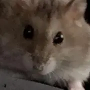 おーよろの画像