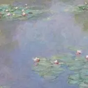 メイの画像