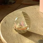 inicoの画像