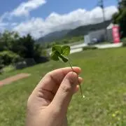 Nanaの画像