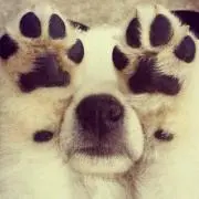 ○×△□の画像