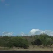 Riliの画像