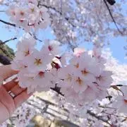 m.kの画像