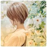 ハルマムショップスの画像