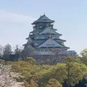 manamama即購入大歓迎！の画像