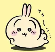 うさぎ(∩´∀｀)∩´∀｀)∩´∀｀)∩の画像