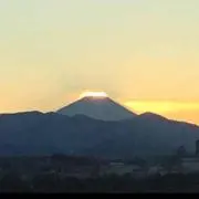 フジヤマ