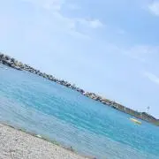 メロン  プロフ必見！！の画像