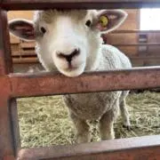 ユウスケの画像