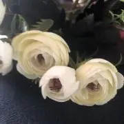 kummy【プロフ必読】