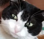 ルミ
