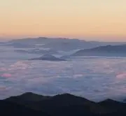 ホーさんの画像