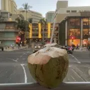 chieの画像