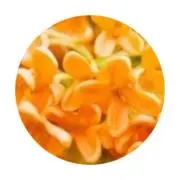 suiの画像