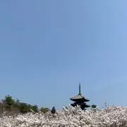 たっくん