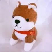 Image of HACHI