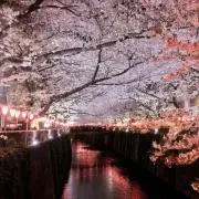 みずの画像