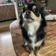 みきの画像