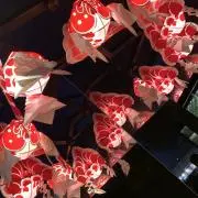 アンドロメダの画像