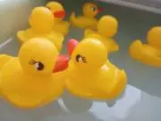 EIlIleの画像