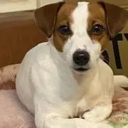 JRTちくわの画像
