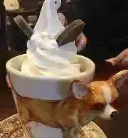 こまの画像
