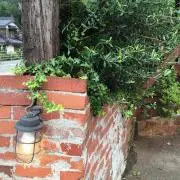 なお